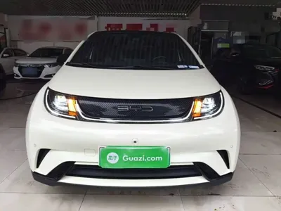 BYD Dolphin 2023, 64500 км, за 8489.98 USD