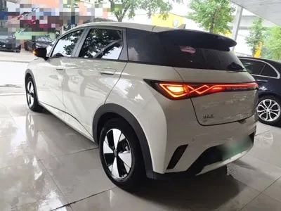 BYD Dolphin 2023, 64500 км, за 8489.98 USD