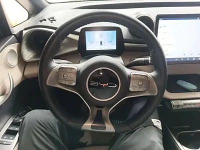 BYD Dolphin 2023, 64500 км, за 8489.98 USD - фото 11