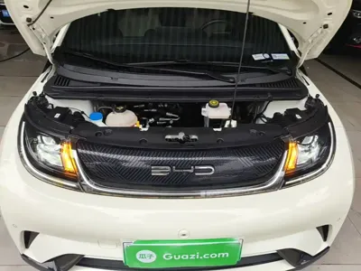 BYD Dolphin 2023, 64500 км, за 8489.98 USD - фото 20