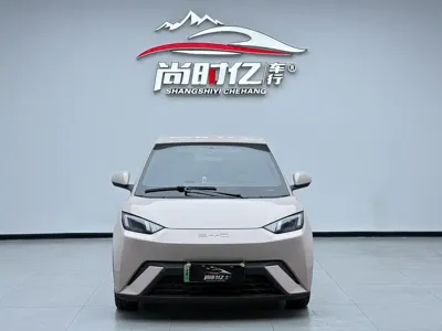 BYD Seagull 2023, 24000 км, за 6463.09 USD