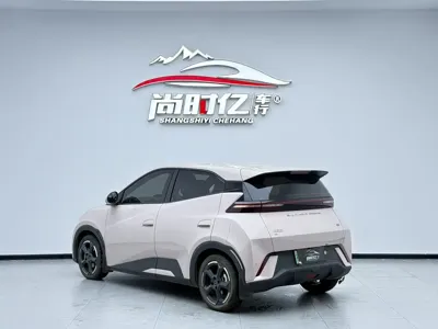 BYD Seagull 2023, 24000 км, за 6463.09 USD