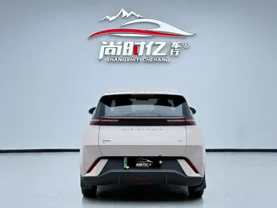 BYD Seagull 2023, 24000 км, за 6463.09 USD