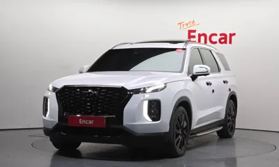 Hyundai Palisade · 2019 год