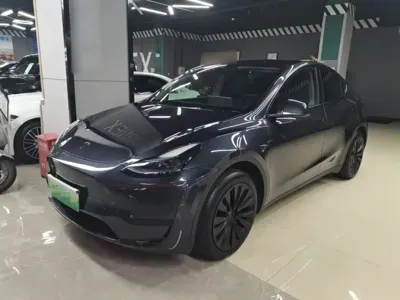 Tesla Model Y · 2024 год
