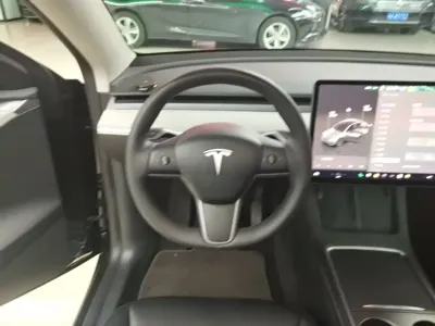 Tesla Model Y 2024, 32000 км, за 27309.65 USD - фото 11