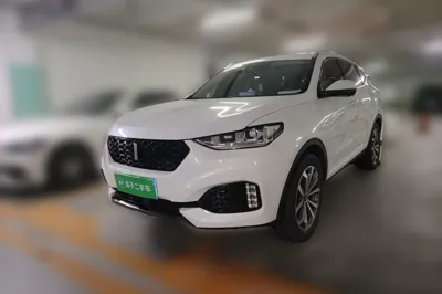 WEY VV6 · 2019 год