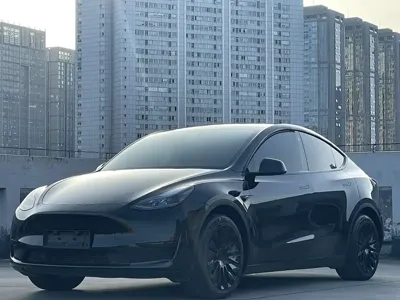 Tesla Model Y · 2023 год
