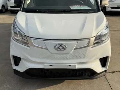 大通 EV30 2023, 209000 км, за 6395.57 USD