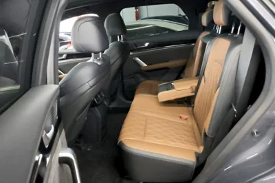 BYD Tang New Energy 2023, 55300 км, за 16316 USD - фото 20