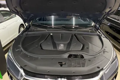 BYD Tang New Energy 2023, 55300 км, за 16316 USD - фото 24