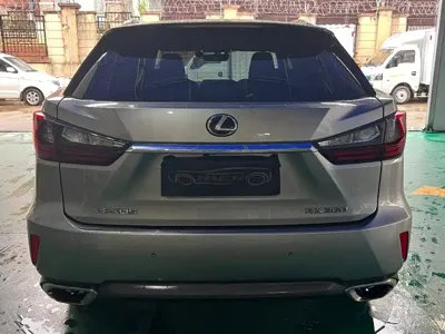 Lexus RX 2019, 112000 км, за 22336.24 USD - фото 11