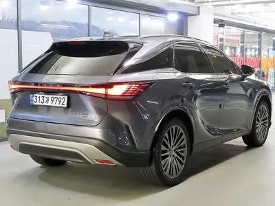 Lexus RX 2024, 32669 км, за 54006.54 USD