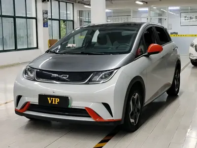 BYD Dolphin · 2022 год