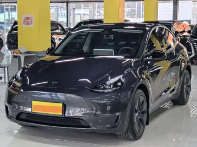 Tesla Model Y · 2024 год