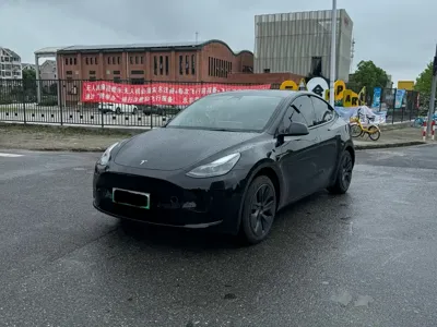 Tesla Model Y · 2022 год