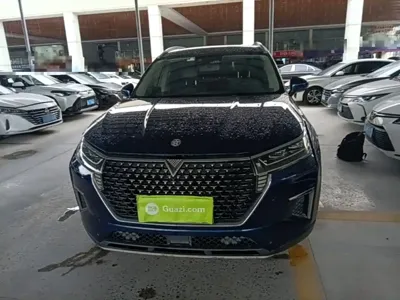 Venucia Star 2020, 115100 км, за 6224.13 USD