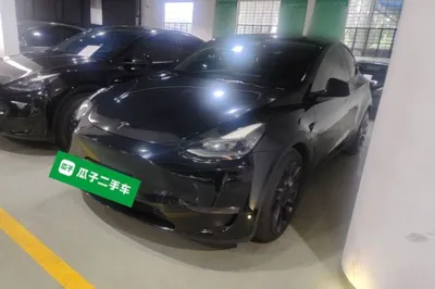 Tesla Model Y · 2021 год