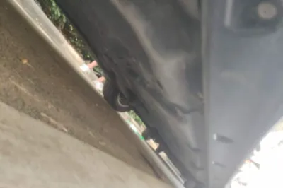 Volkswagen Touareg 2021, 78400 км, за 31615 USD - фото 29