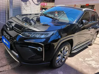 Toyota Wildlander · 2024 год