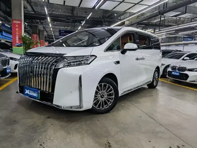 WEY Wey Gaoshan · 2024 год