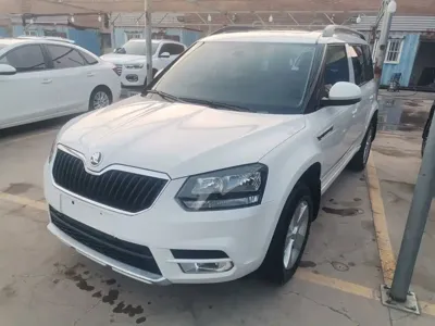 Skoda Yeti · 2017 год