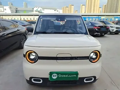 Galaxy Panda 2025, 12400 км, за 4526.55 USD