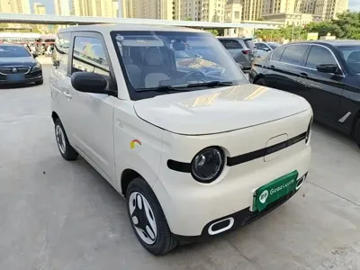 Galaxy Panda 2025, 12400 км, за 4526.55 USD