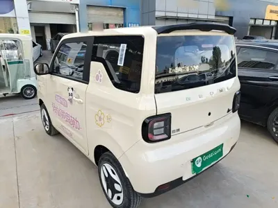 Galaxy Panda 2025, 12400 км, за 4526.55 USD