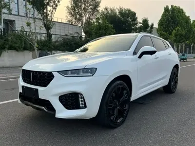 WEY Wey VV7 · 2019 год