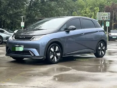BYD Dolphin · 2023 год
