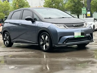 BYD Dolphin 2023, 16000 км, за 10299.98 USD