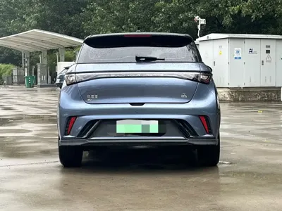 BYD Dolphin 2023, 16000 км, за 10299.98 USD - фото 10