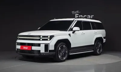 Hyundai Santafe · 2024 год