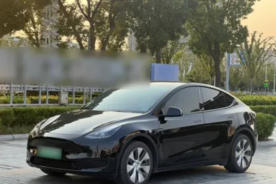Tesla Model Y · 2022 год