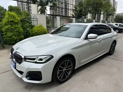 BMW 5 Series · 2023 год
