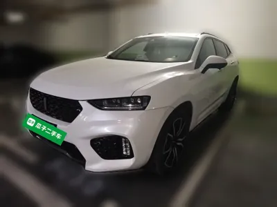 WEY VV7 · 2019 год