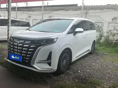 Denza Denza D9 · 2023 год