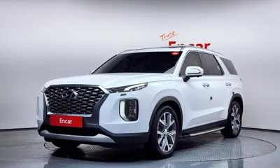 Hyundai Palisade · 2020 год