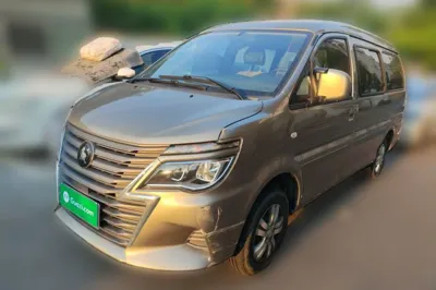 Forthing Lingzhi · 2023 год