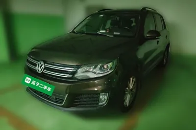 Volkswagen Tiguan · 2013 год