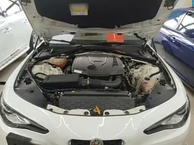 Alfa Romeo Giulia 2018, 69200 км, за 19367.9 USD - фото 20