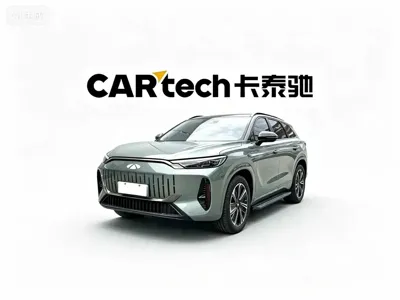 Fulwin Fengyun T10 2024, 17000 км, за 17480.53 USD