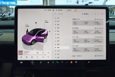 Tesla Model Y 2022, 52300 км, за 27857 USD - фото 14