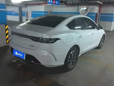 BYD Destroyer 05 2024, 60300 км, за 6862.83 USD