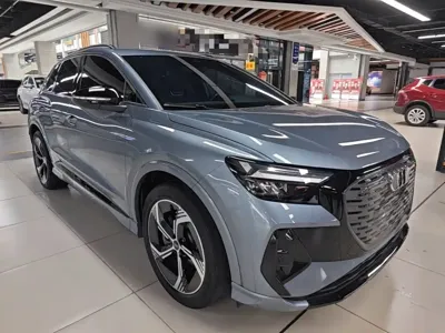 Audi Q4 e-tron 2024, 46300 км, за 18981.39 USD