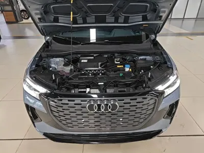 Audi Q4 e-tron 2024, 46300 км, за 19035.13 USD - фото 20