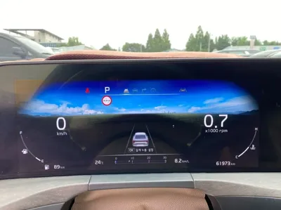 Kia K8