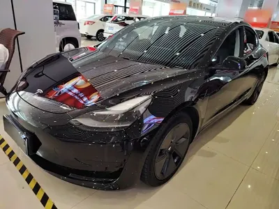 Tesla Model 3 · 2021 год