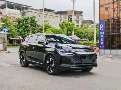 BYD Tang New Energy 2024, 27000 км, за 15714.82 USD